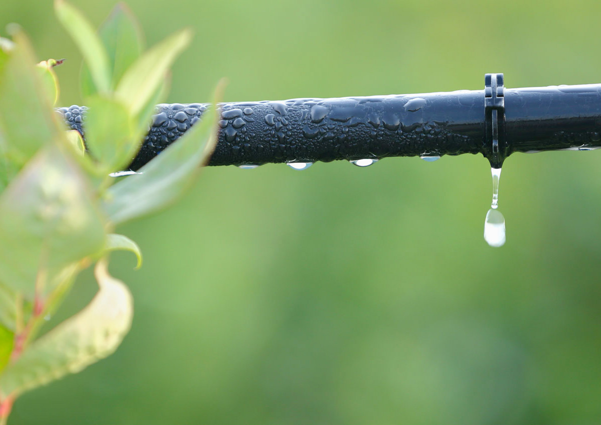 Irrigazione a goccia: crea il tuo kit su misura